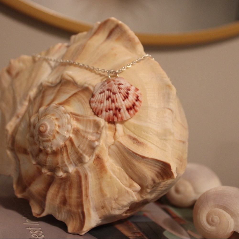 Elegant Calico Scallop Shell Pendant Necklace